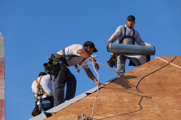 Best New Roof Installation  in Silver Bay, MN