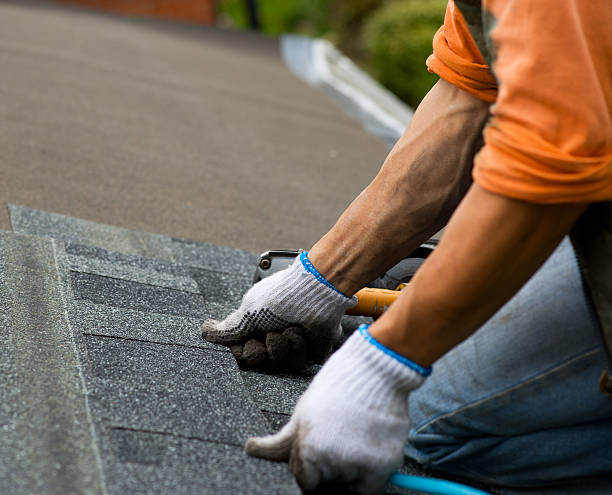 Best New Roof Installation  in Silver Bay, MN