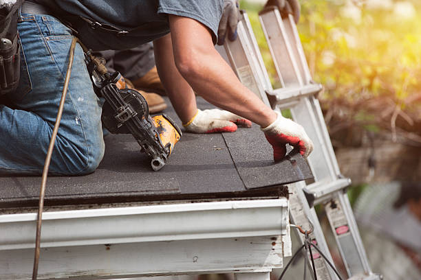 Best Roof Gutter Cleaning  in Silver Bay, MN
