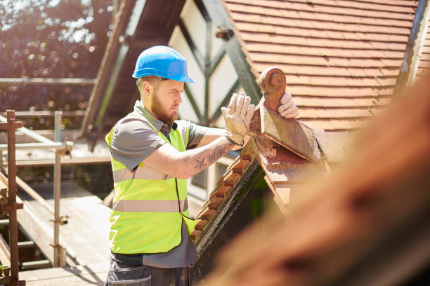 Best Flat Roof Repair Services  in Silver Bay, MN