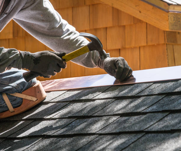Best Local Roofing Companies  in Silver Bay, MN